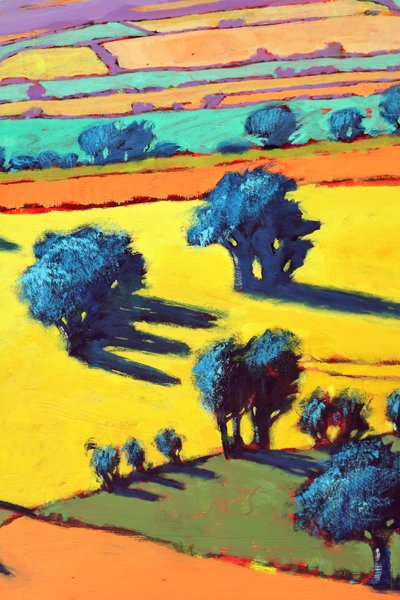 Camino de Cotswold primer plano 2 de Paul Powis