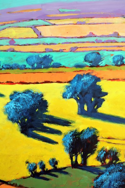 Cotswold Way de cerca 8 de Paul Powis