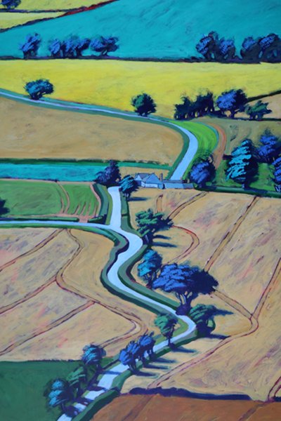 Camino en verano de cerca 1 de Paul Powis