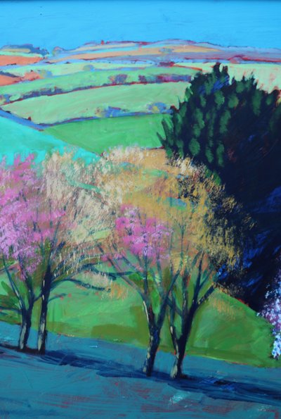 Cerca de la floración del Valle de Teme 2 de Paul Powis