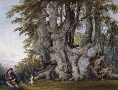 Un niño haciendo bailar a un perro junto a un antiguo haya nudosa de Paul Sandby