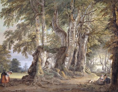 Una campesina recogiendo ramas, y figuras sentadas junto al tronco de un antiguo haya nudosa de Paul Sandby