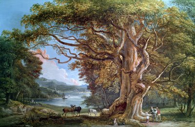 Un antiguo árbol de haya, 1794 de Paul Sandby