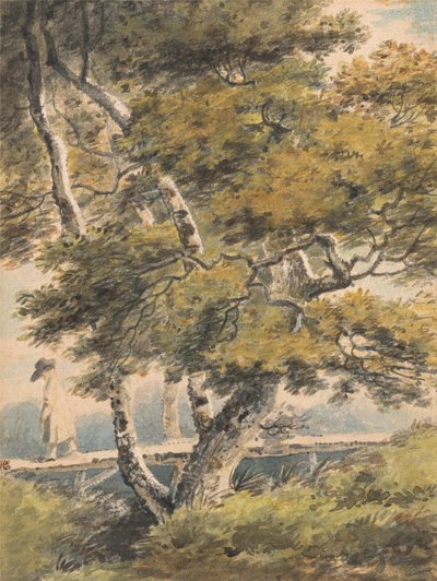Árboles, con un hombre cruzando una pasarela de Paul Sandby