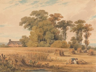 Un maizal de Paul Sandby Munn