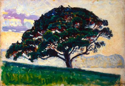 Gran pino, Saint-Tropez, 1892-1893 de Paul Signac