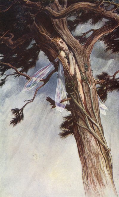 La Tempestad de William Shakespeare, Acto I, Escena 2 (litografia en color) de Paul Vincent Woodroffe