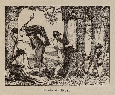  de Paul de Laubadere