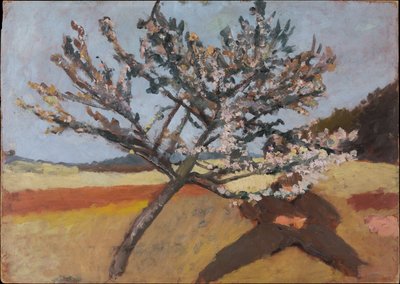 Mann unter einem blühenden Baum liegend de Paula Modersohn-Becker
