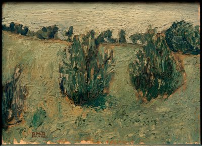 Paisaje con pinos de Paula Modersohn Becker