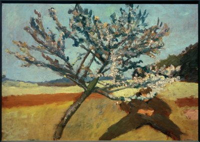 Hombre acostado bajo un árbol floreciente de Paula Modersohn Becker