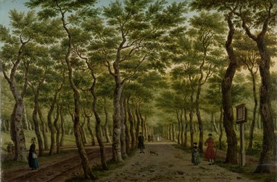 El Herepad en el Haagse Bos
El bosque de Scheveningen, cerca de La Haya de Paulus Constantijn la Fargue (signed by artist)