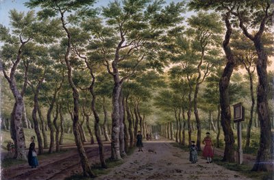 El Herepad en el bosque de La Haya de Paulus Constantin La Fargue