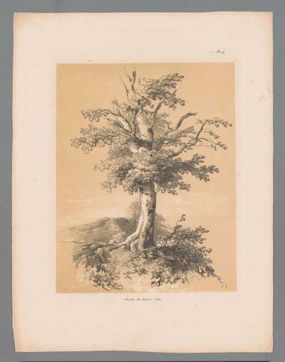 Auge Rostros pintorescos de Paulus Lauters (título de la serie) Etrennes pittoresques pour 1839, de Lauters (título de la serie) de Paulus Lauters
