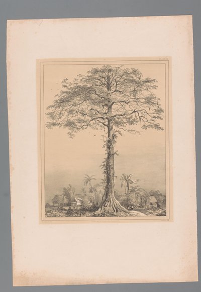 Auge de Kankantri de Paulus Lauters