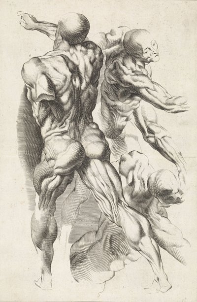 Estudio anatómico de tres figuras con los brazos extendidos
El libro de dibujos de Peter Paul Rubens (título de la serie) de Paulus Pontius