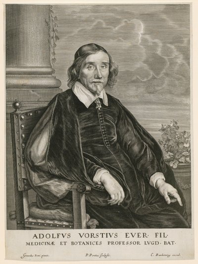 Retrato de Adolph Vorst, profesor en Leiden de Paulus Pontius