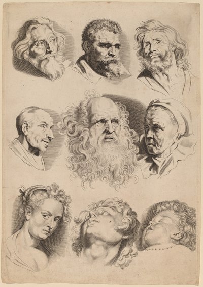 Nueve cabezas de Paulus Pontius after Sir Peter Paul Rubens