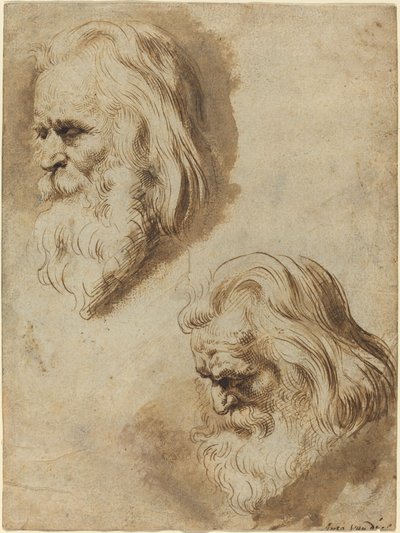 Dos estudios de la cabeza de un anciano de Paulus Pontius after Sir Peter Paul Rubens