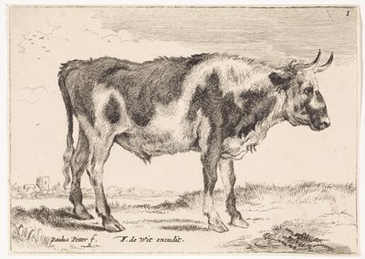 Buey manchado
Bueyes y vacas (título de la serie) de Paulus Potter (rejected attribution)