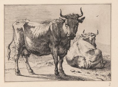 Una vaca de pie y otra tumbada, de varios bueyes y vacas de Paulus Potter