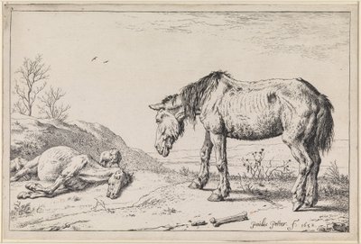  de Paulus Potter