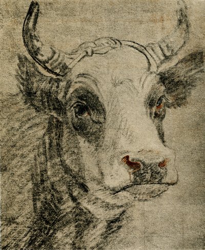 Estudio de animales de Paulus Potter