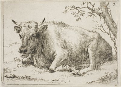 Vaca tumbada junto a un árbol, lámina 7 de Ocho toros y vacas de Paulus Potter