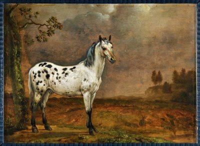 El caballo moteado de Paulus Potter