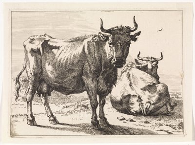 Una vaca de pie y otra reclinada
The Bull Book (título de la serie) de Paulus Potter