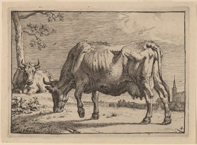 Vaca pastando de Paulus Potter