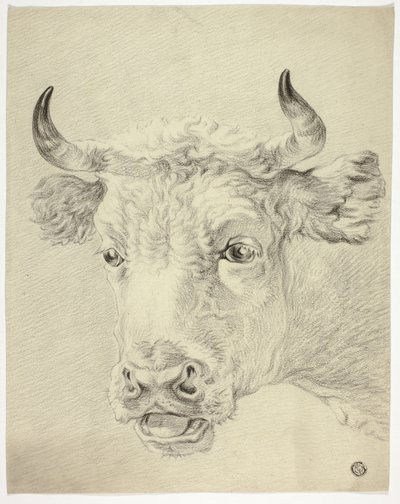 Cabeza de vaca de Paulus Potter
