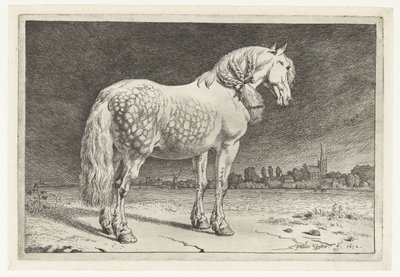 El caballo frisón Caballos (título de la serie) de Paulus Potter