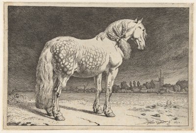 El caballo frisón Caballos (título de la serie) de Paulus Potter