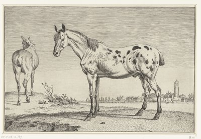 el caballo atracado Caballos (título de la serie) de Paulus Potter
