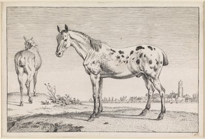  de Paulus Potter