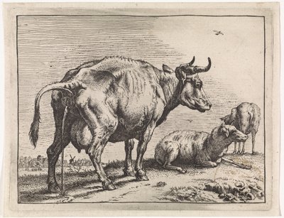 Vaca que orina
The Bull Book (título de la serie) de Paulus Potter