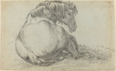 Caballo descansando de Paulus Potter