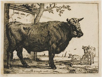 El toro de Paulus Potter