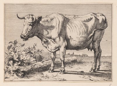 La vaca con el cuerno arrugado, de Varios bueyes y vacas de Paulus Potter