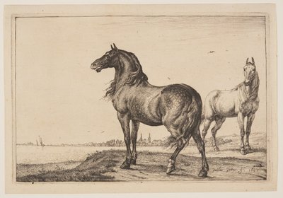 El caballo recortado, de Series de caballos de Paulus Potter