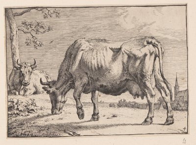 La vaca que pasta, de Varios bueyes y vacas de Paulus Potter