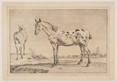 El caballo que relincha, de Series de caballos de Paulus Potter