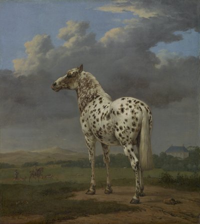 El caballo "Piebald" de Paulus Potter