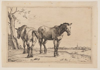 El caballo del arado, de Series de caballos de Paulus Potter