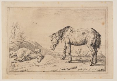 El caballo gastado, (La Mazette), de Serie de caballos de Paulus Potter