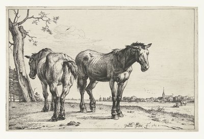 Dos caballos de arado Caballos (título de la serie) de Paulus Potter