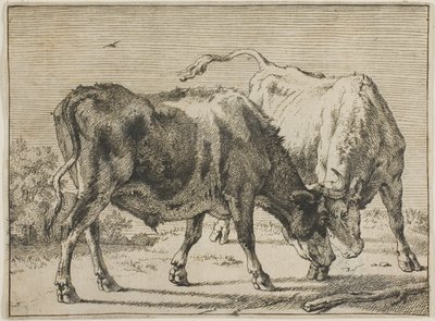 Dos Toros Luchando de Paulus Potter
