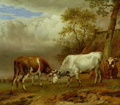 Dos toros con cuernos trabados, 1653 de Paulus Potter