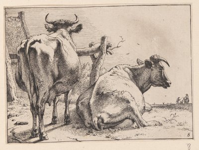Dos vacas vistas desde atrás, de Varios bueyes y vacas de Paulus Potter